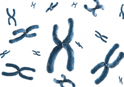 Chromosomal Translocations